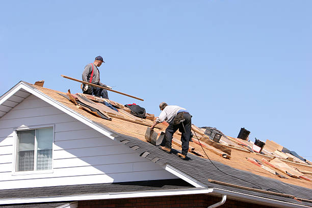 Best Metal Roofing Installation  in Riverton, WY